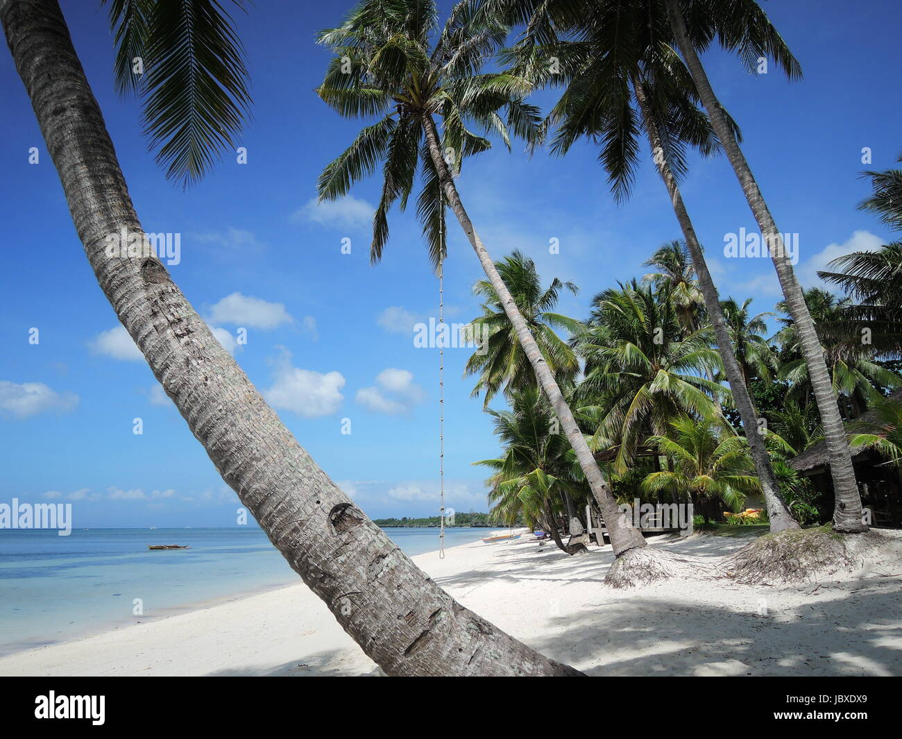 White sand beach with palm trees Stock Photo