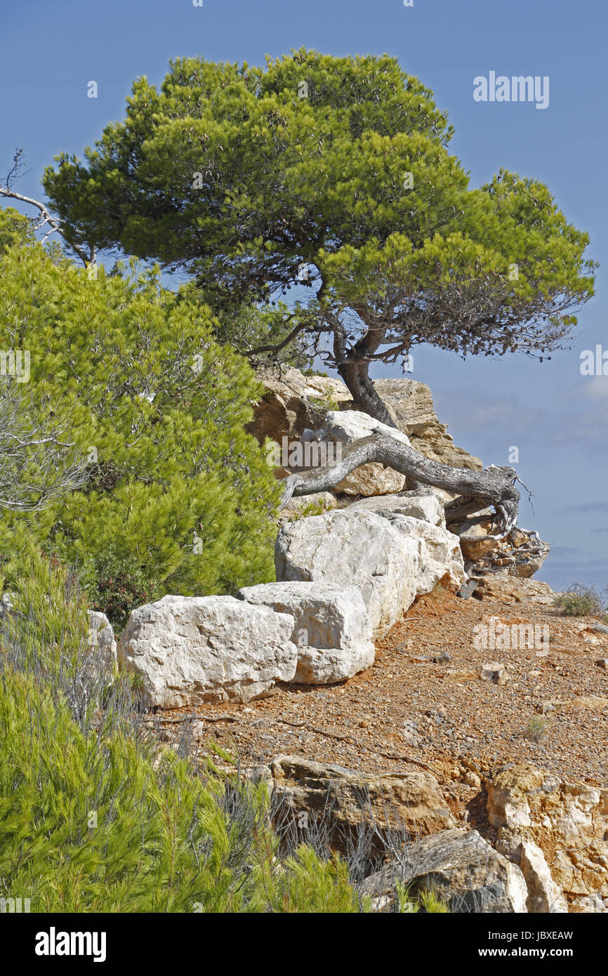 Küstenabschnitt bei Santa Eulalia, Ibiza Stock Photo