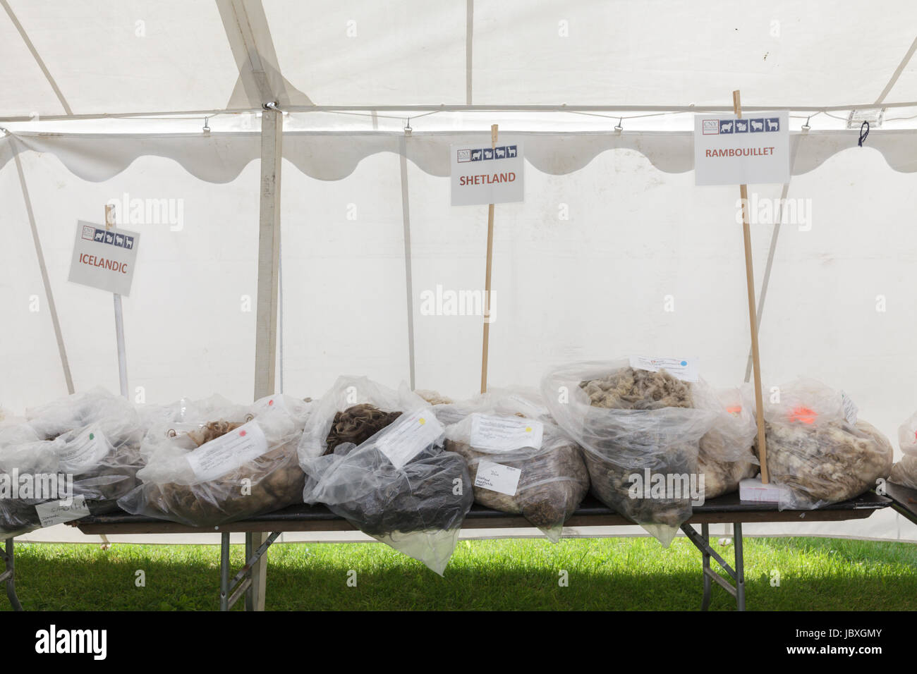 BOUCKVILLE, NY, USA - JUNE 10 2017: Bags of different types of wool on display at the annual Fiber Festival of Central New York. Stock Photo