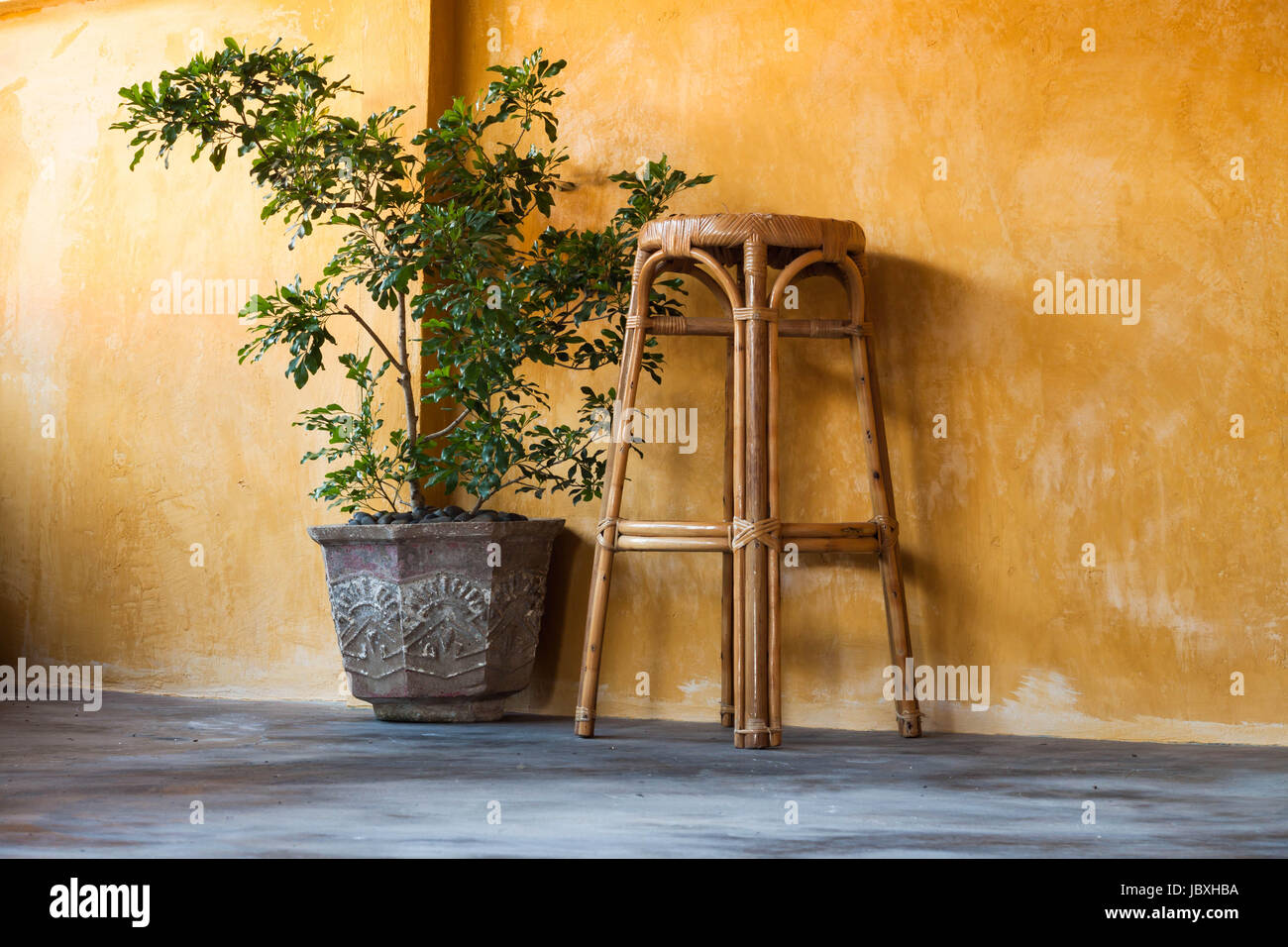 Simple interior design scene with rattan chair and small tree on yellow