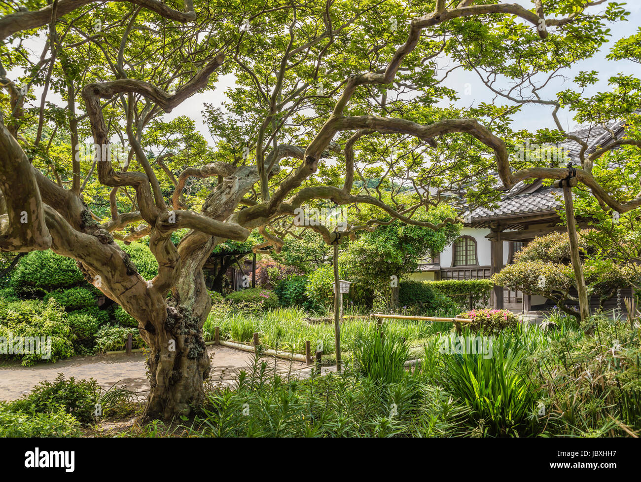 Gokurakuji temple, a Buddhist temple of the Shingon sect in Kamakura, Kanagawa Prefecture