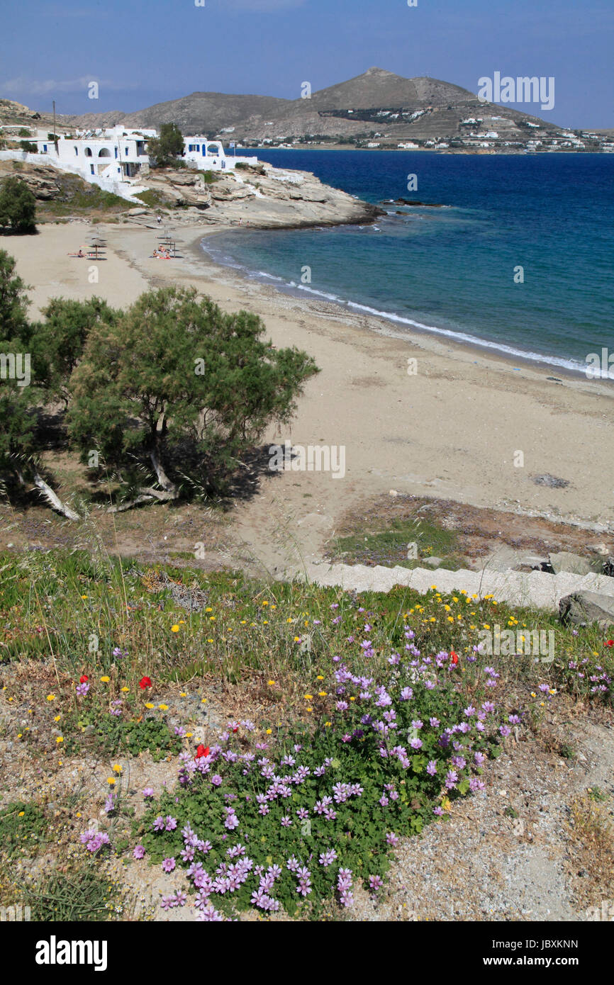 Greece, Cyclades, Paros, Naoussa, Piperi Beach, Stock Photo