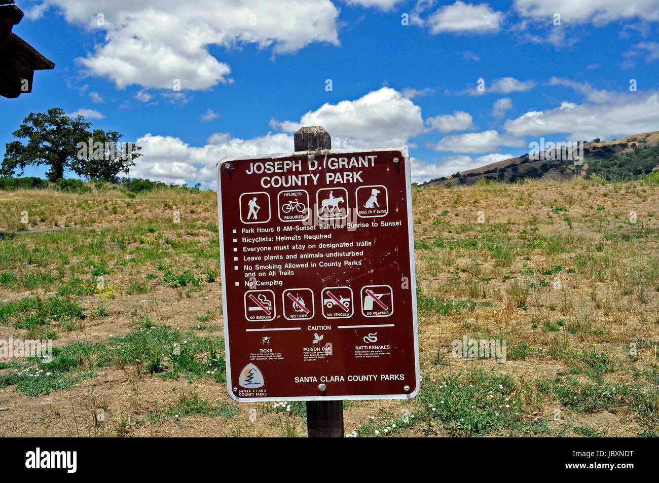 Are Dogs Allowed At Joseph D Grant Campground