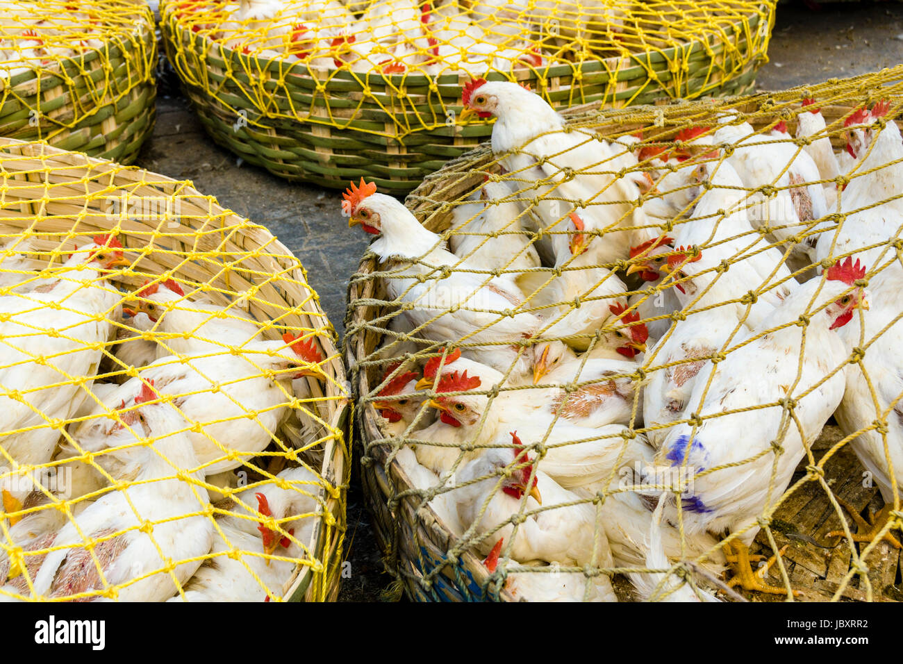 Poultry basket hires stock photography and images Alamy