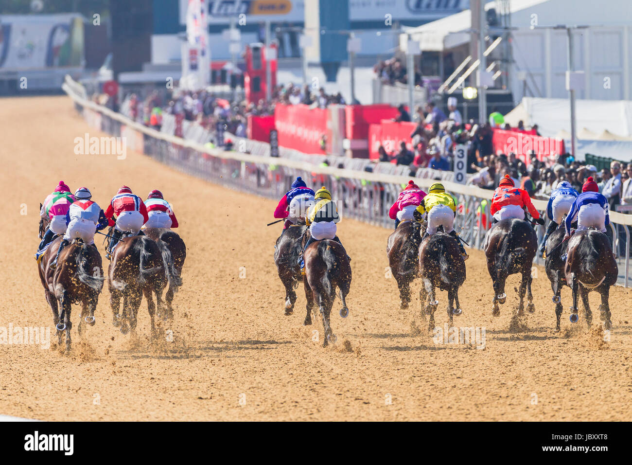 Greyville High Resolution Stock Photography And Images Alamy