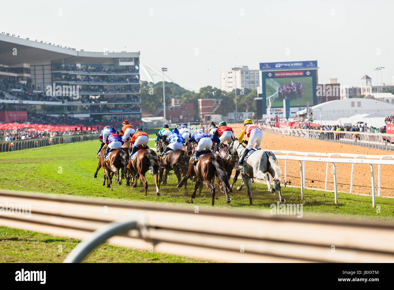 greyville horse racing today