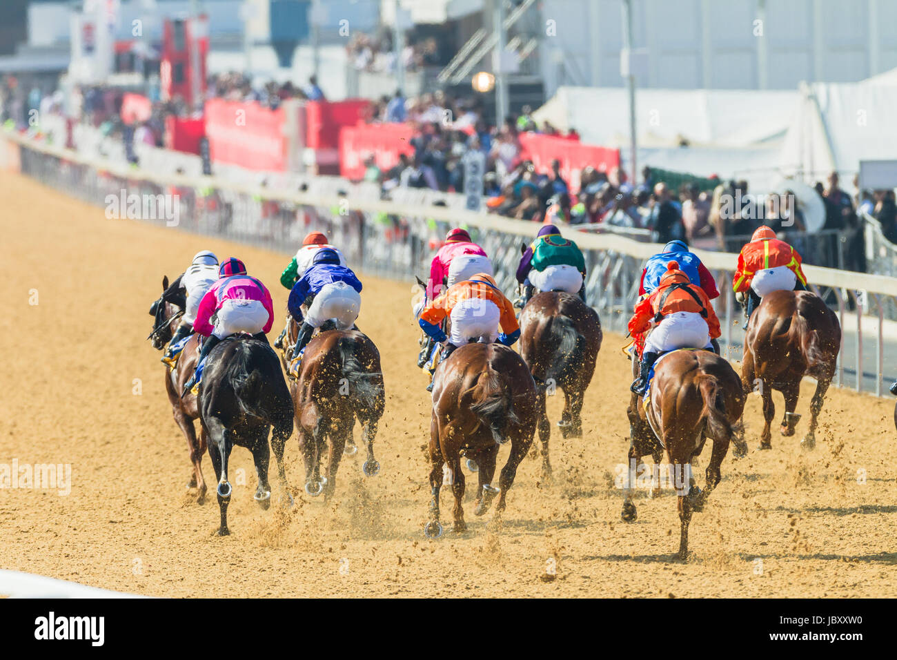 14++ Greyville horse racing results sky sports best pedictions
