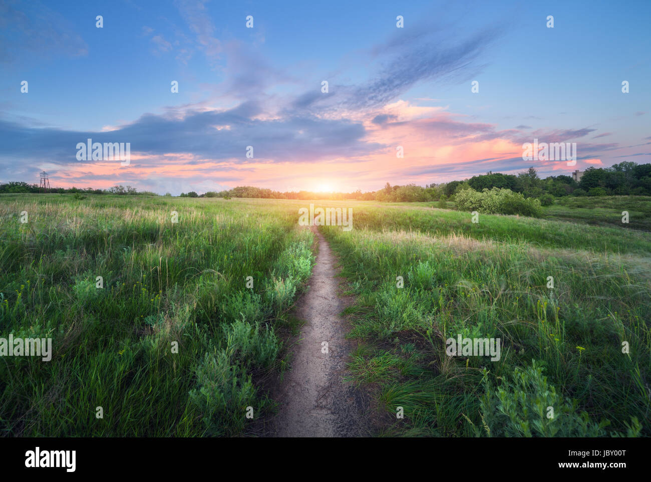 Amazing walkway through grass field at sunset. Colorful summer landscape with blooming green grass, trail, beautiful blue sky with pink clouds at dusk Stock Photo