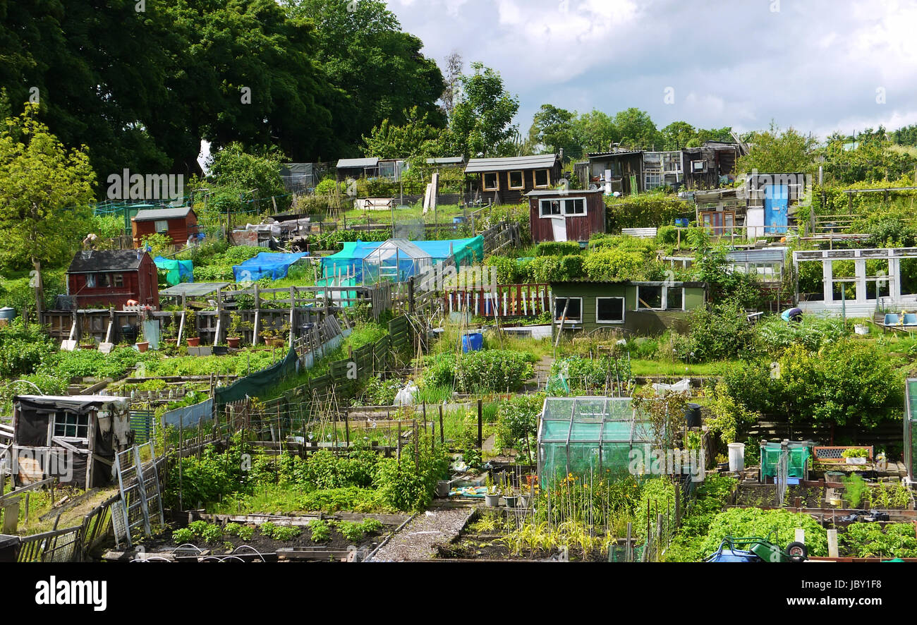 Edinburgh Rural Edinburgh community food hi-res stock photography and images - Alamy