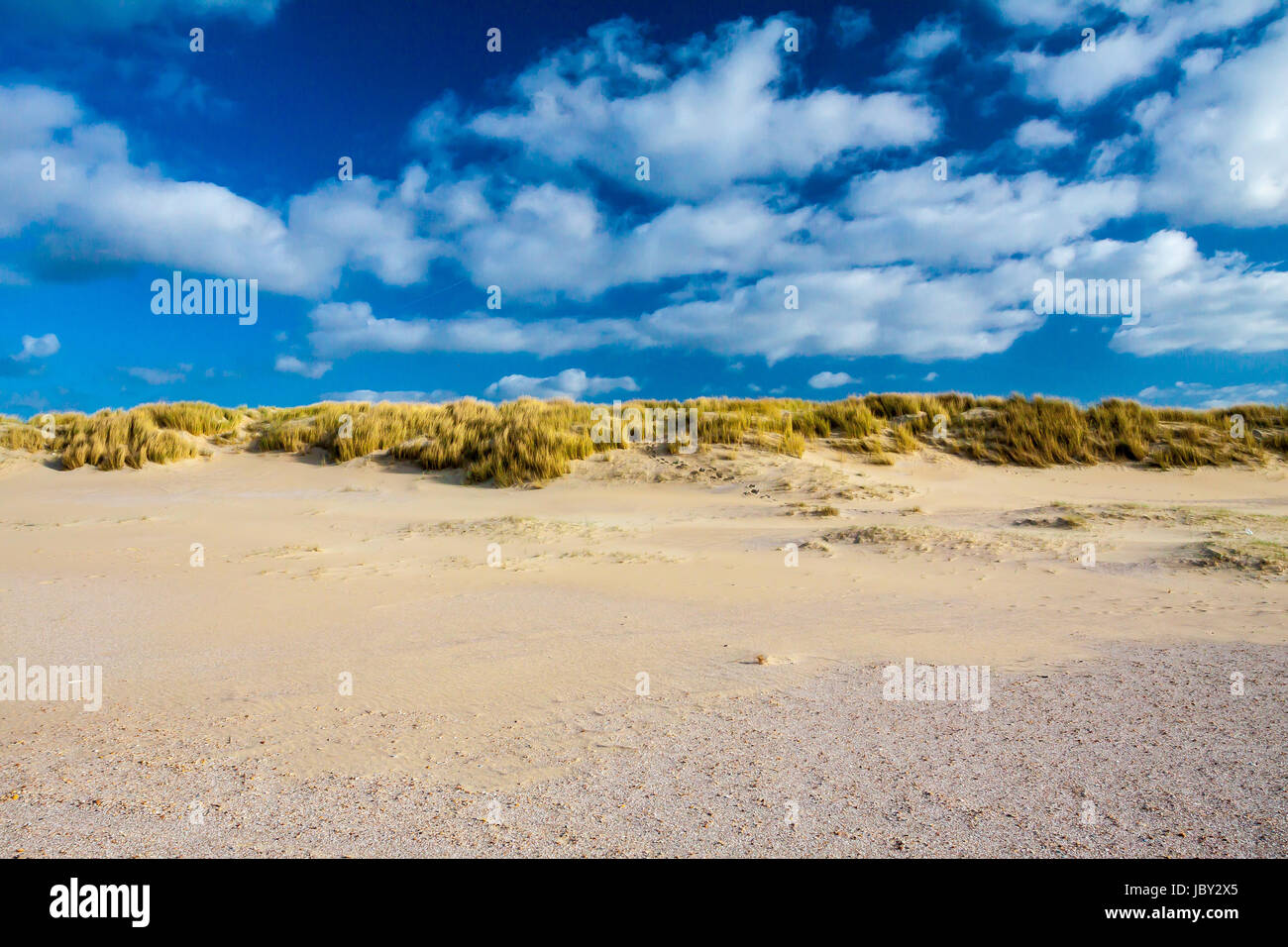 Strandlandschaft in Holland Stock Photo