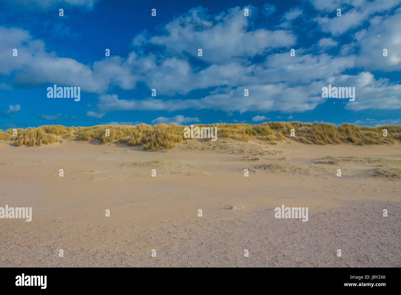 Strandlandschaft in Holland Stock Photo