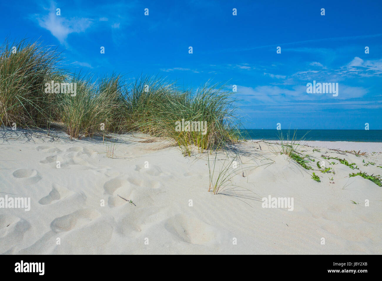 Strandlandschaft in Holland Stock Photo