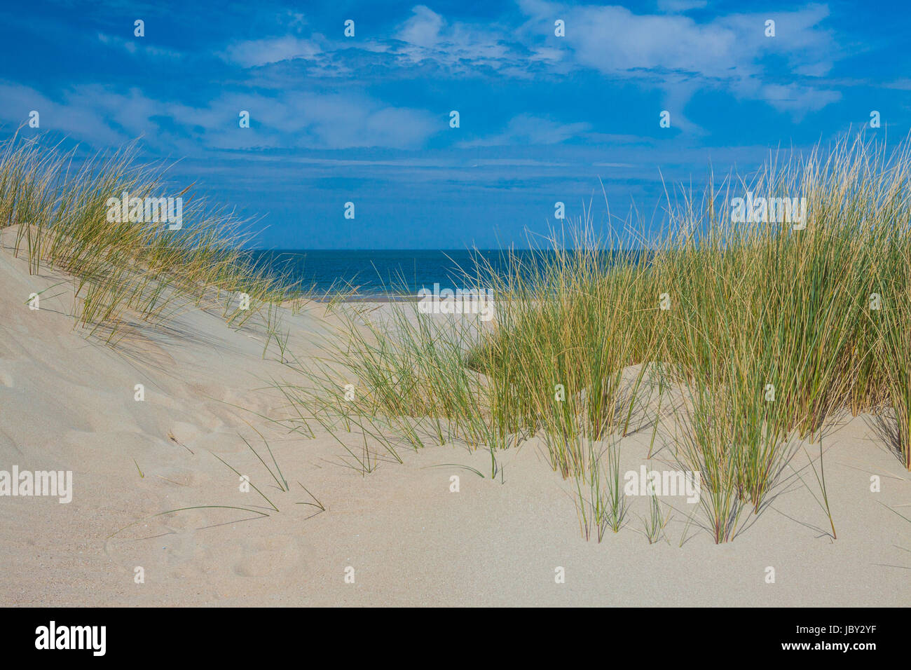 Strandlandschaft in Holland Stock Photo