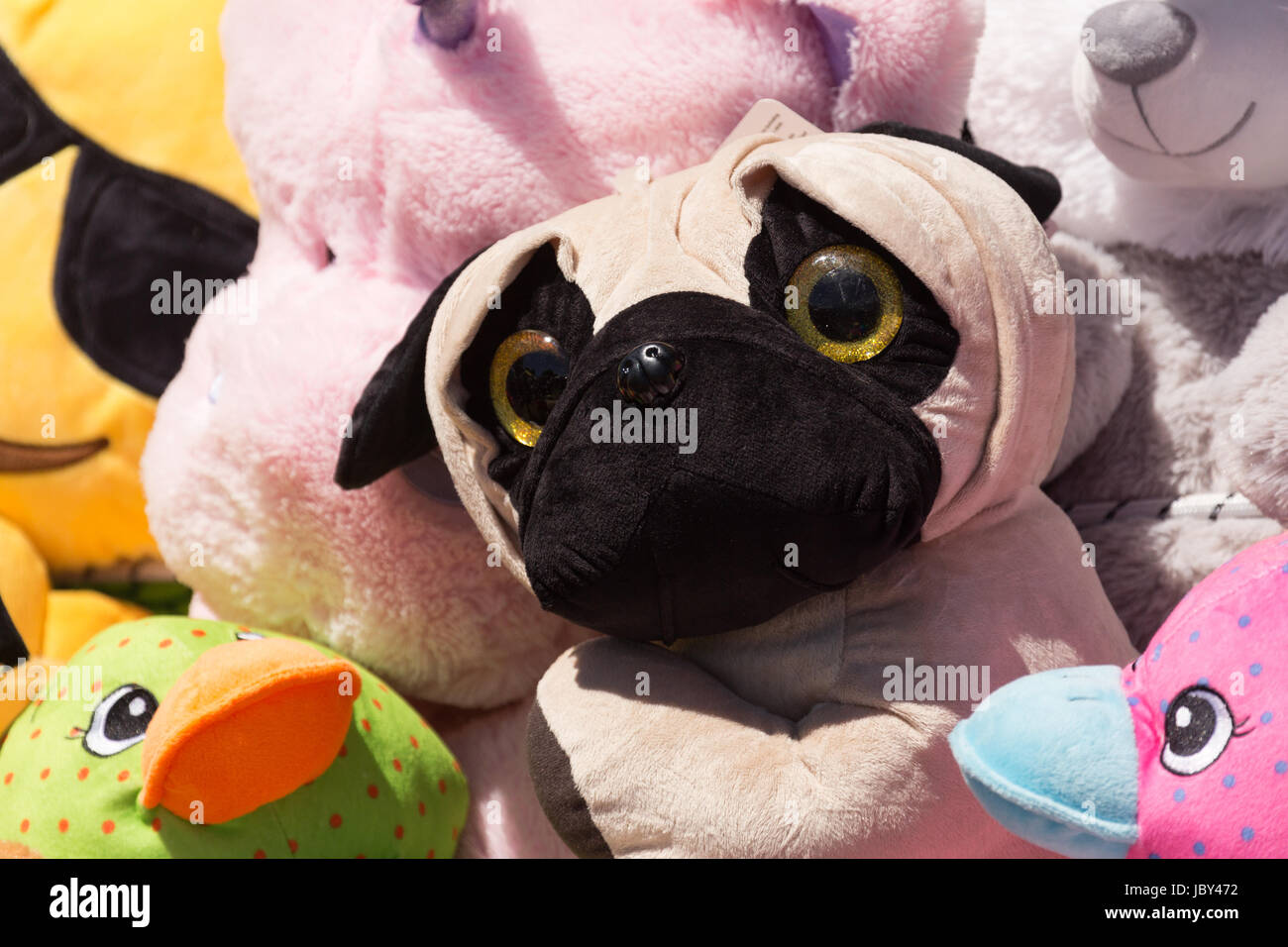 Soft toy (pug dog) with big sad eyes amongst display of other soft toys on fairground stall at Ham Fair, on Ham Common, Ham, Richmond Surrey, UK. Stock Photo