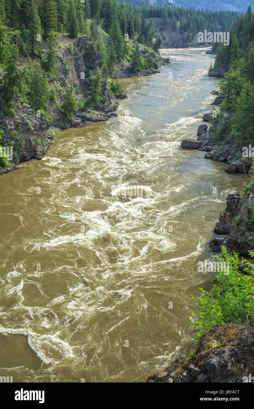 spring runoff high flow on the clark fork river in alberton gorge near alberton, montana Stock Photo