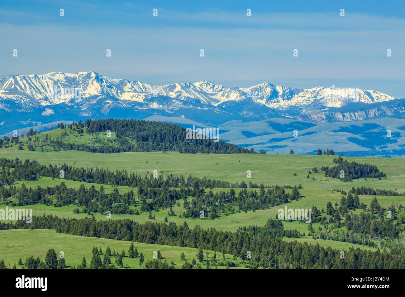 anaconda range above meadows in the upper spotted dog creek basin near