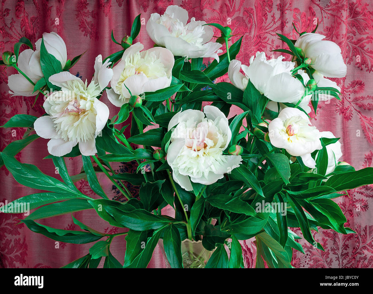 Beautiful bouquet from white peonies against the embroidered silk of claret color Stock Photo