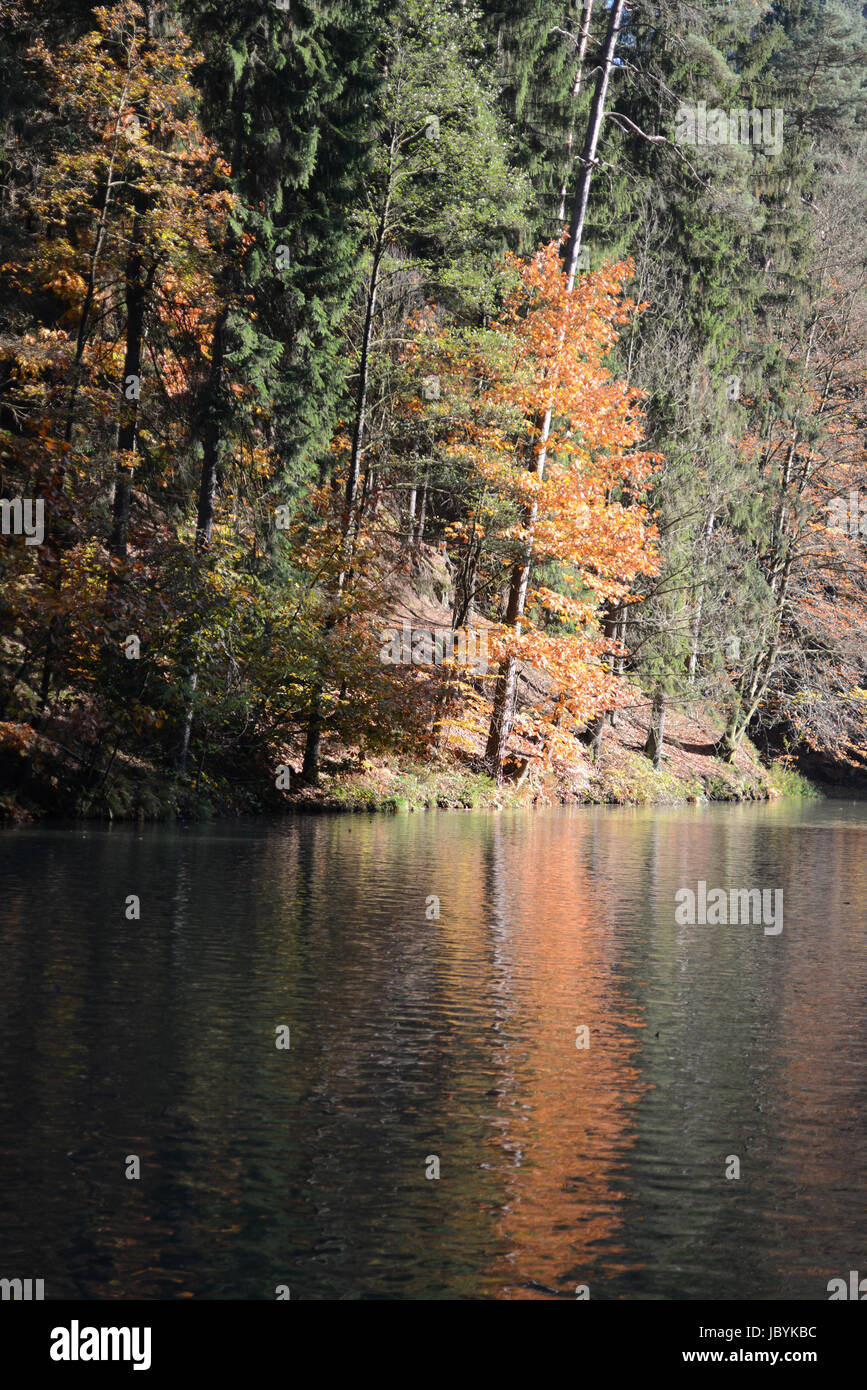 Amselsee, Herbst, rathen, kurort rathen, see, stausee, teich, weiher