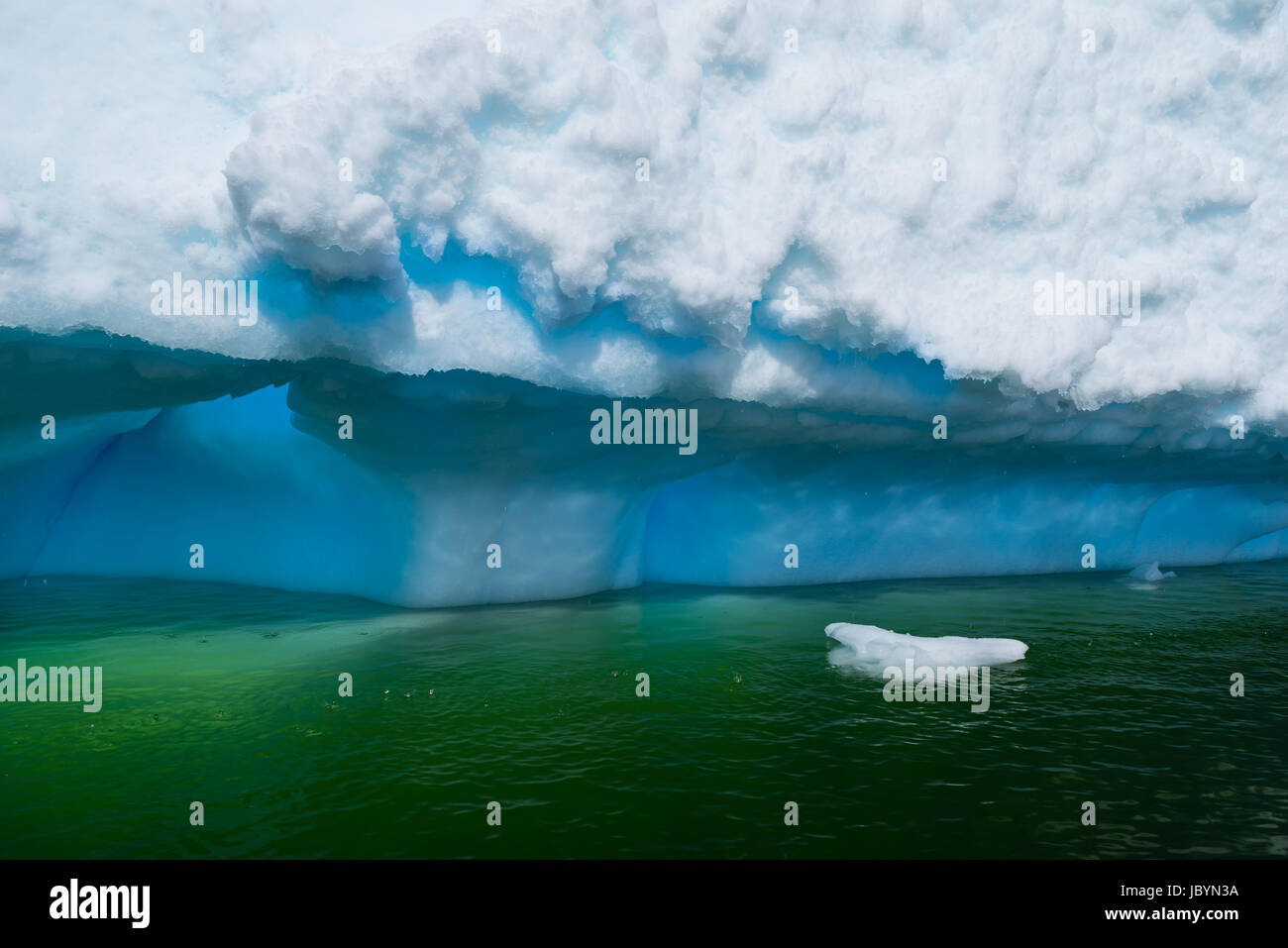Azure shimmering beautiful iceberg in Antarctica with green reflection ...