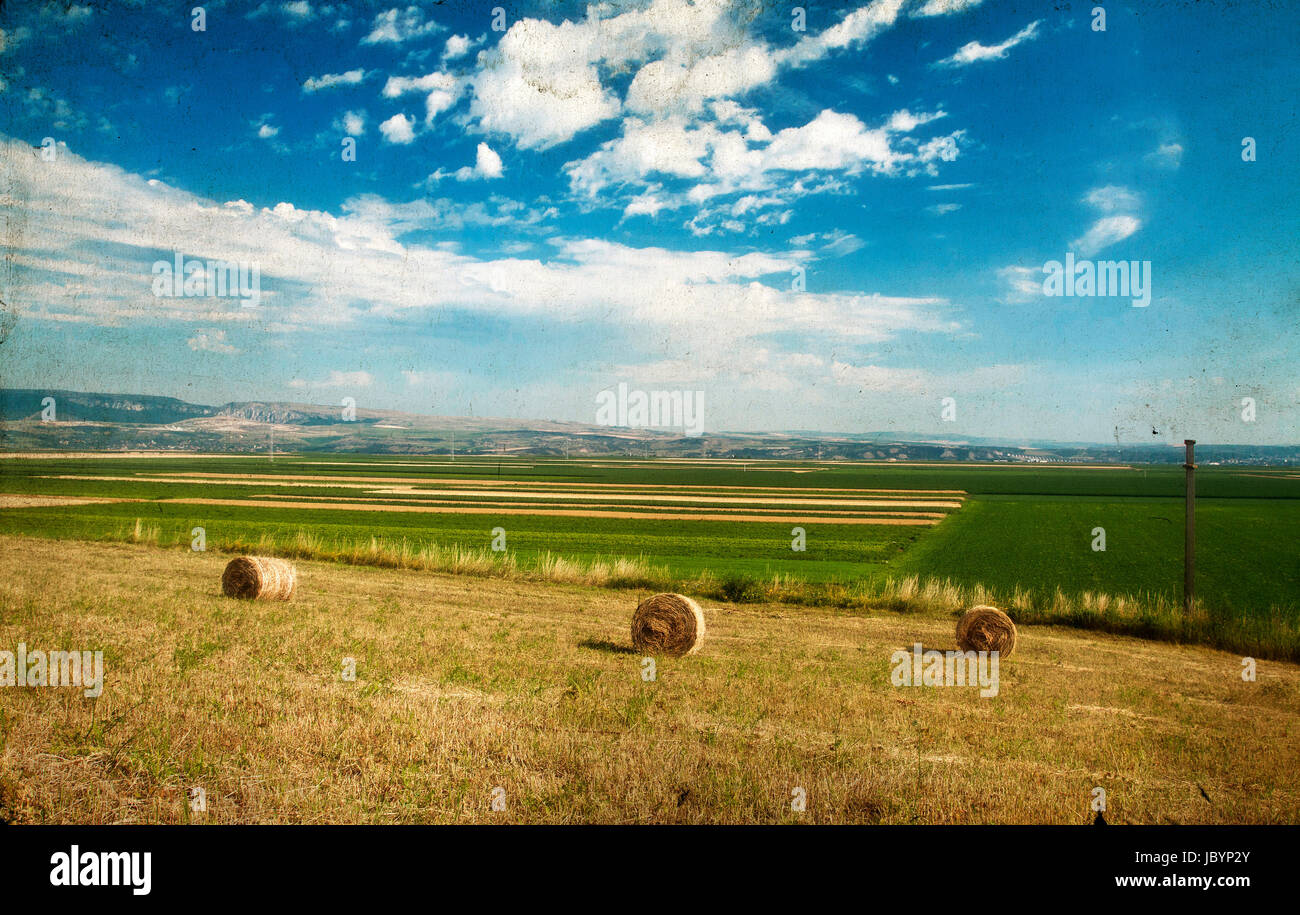 Vintage photo of hay-roll on field after harvest Stock Photo - Alamy