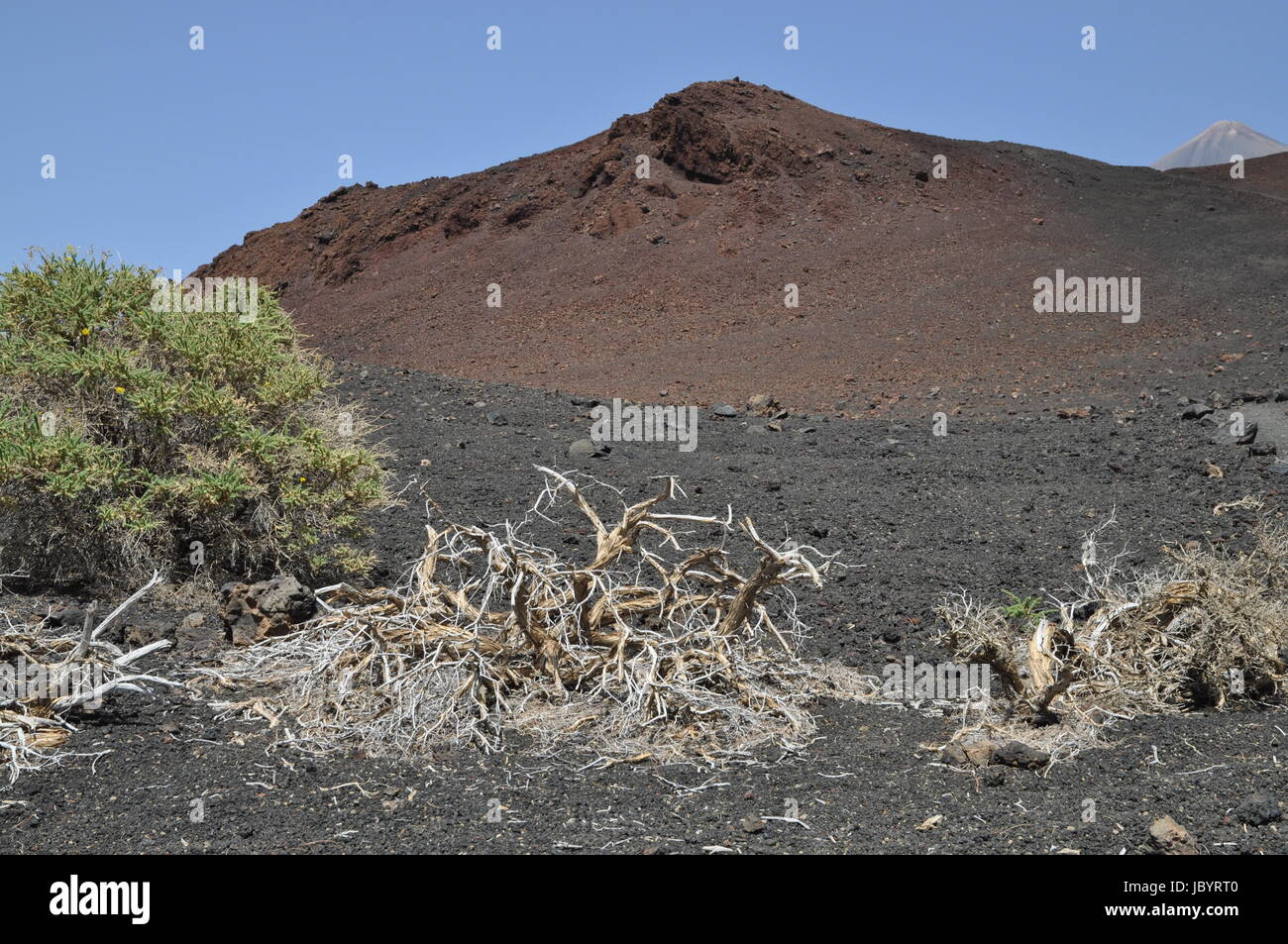 Montana de la Botija, Teneriffa, volcan