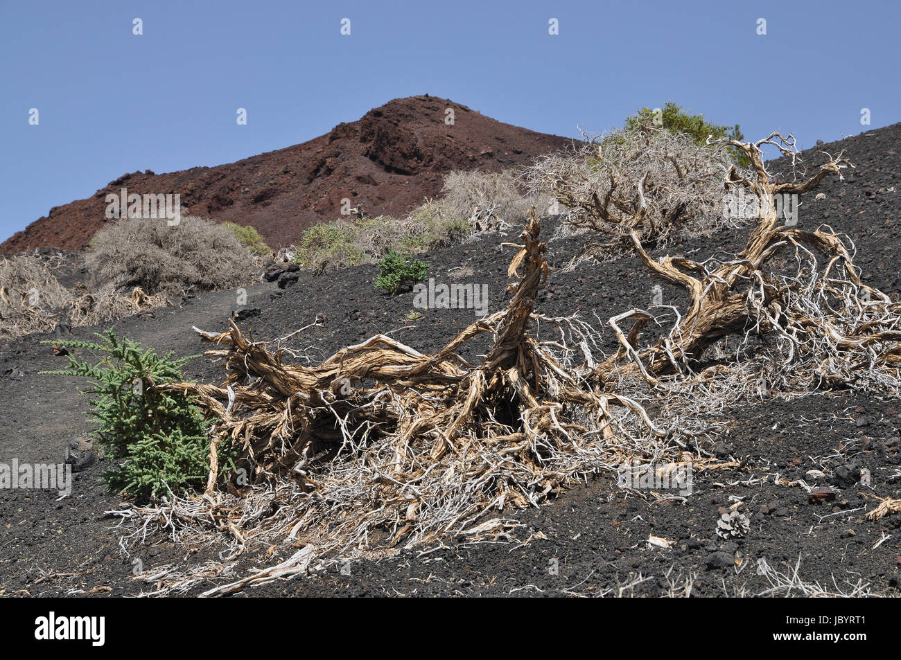 Montana de la Botija, Teneriffa, volcan