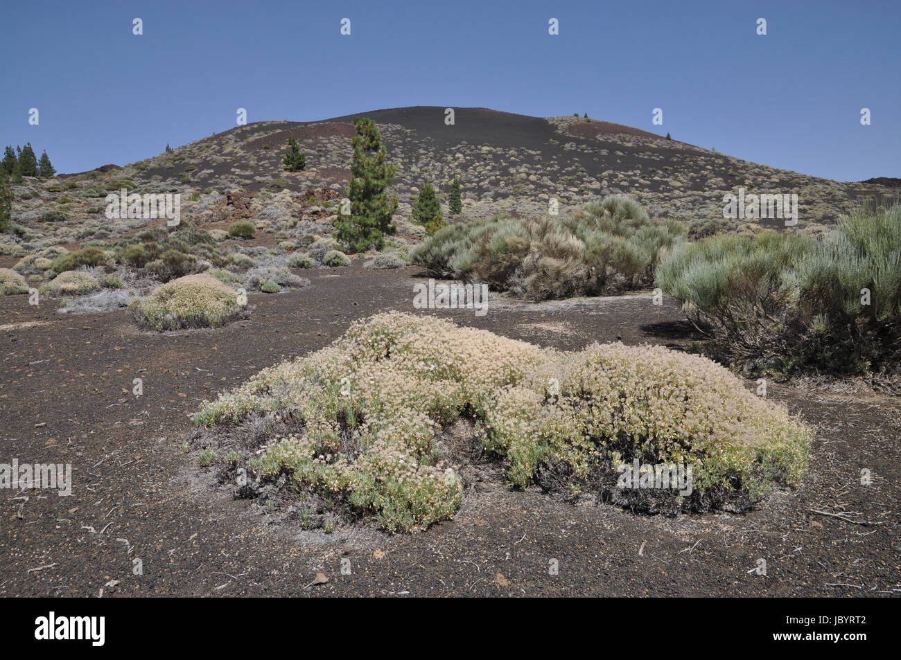 Montana de la Botija, Teneriffa, volcan