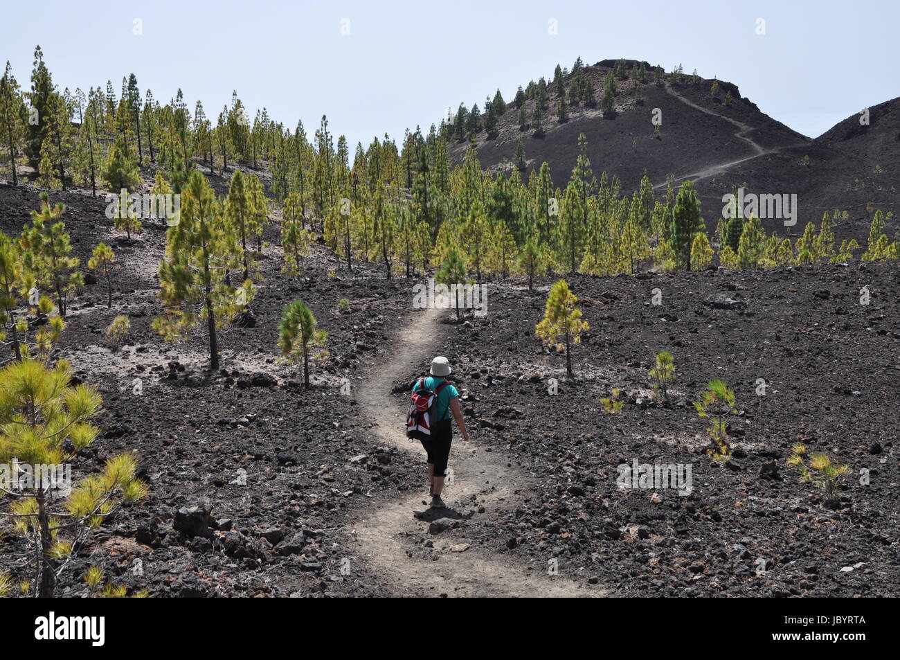 Aufstieg, Montana de la Botija, Teneriffa,