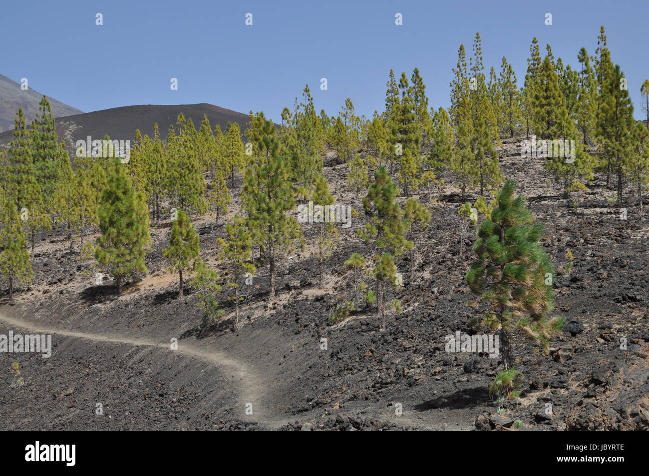 Montana de la Botija, Teneriffa, volcan