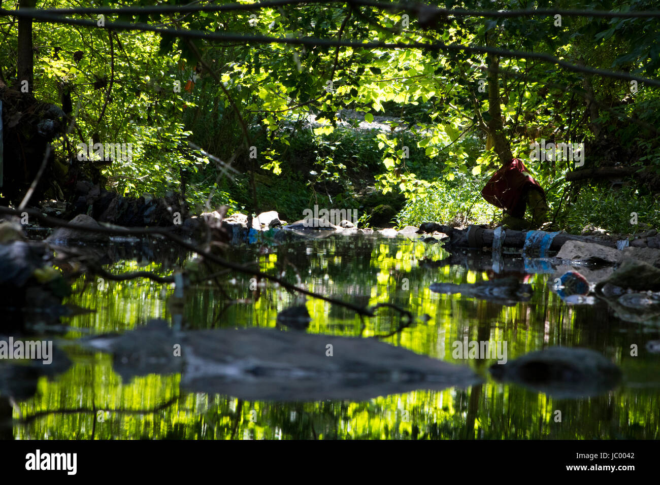 Garbage ruining the view. Glen Echo Park Columbus, OH, USA Stock Photo Alamy