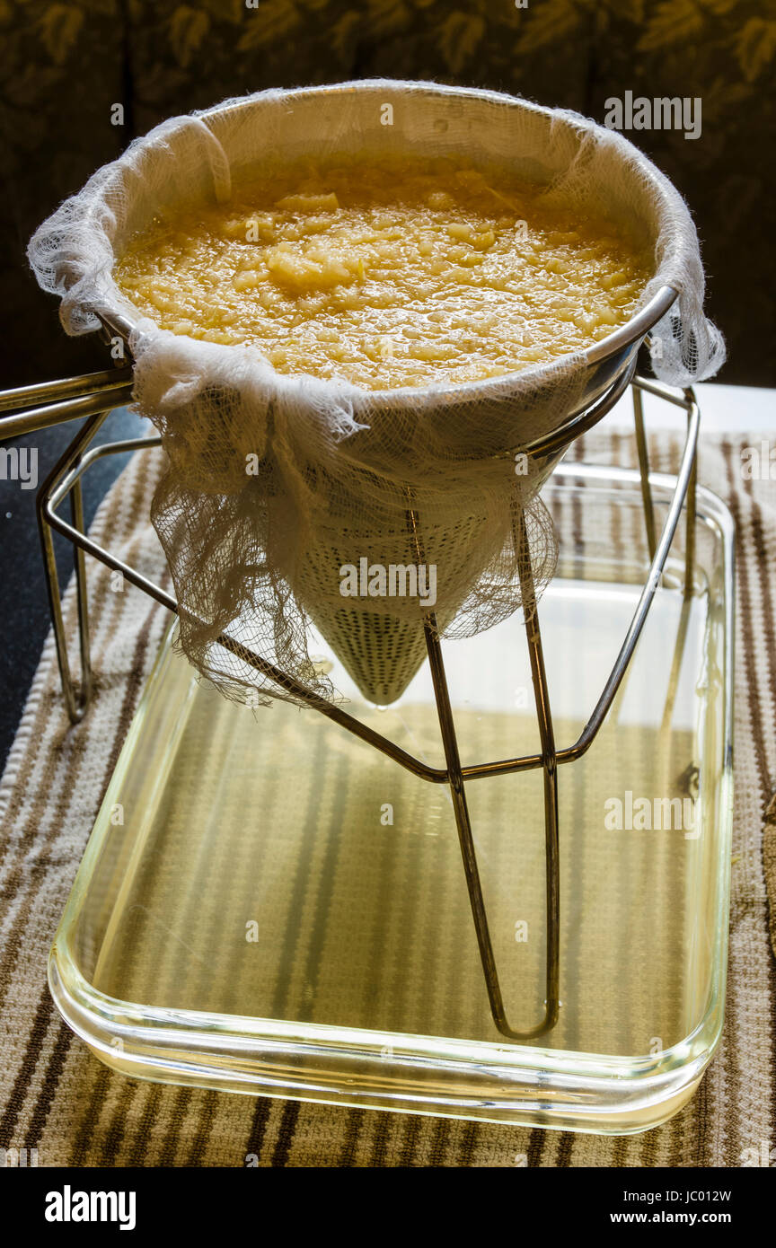 straining fruit that is softened by cooking, through a muslin bag
