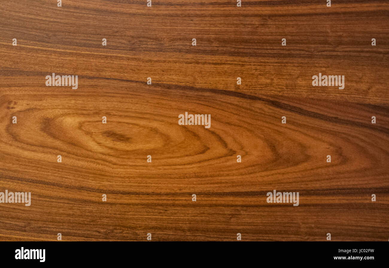 Blackbutt timber floor hi-res stock photography and images - Alamy
