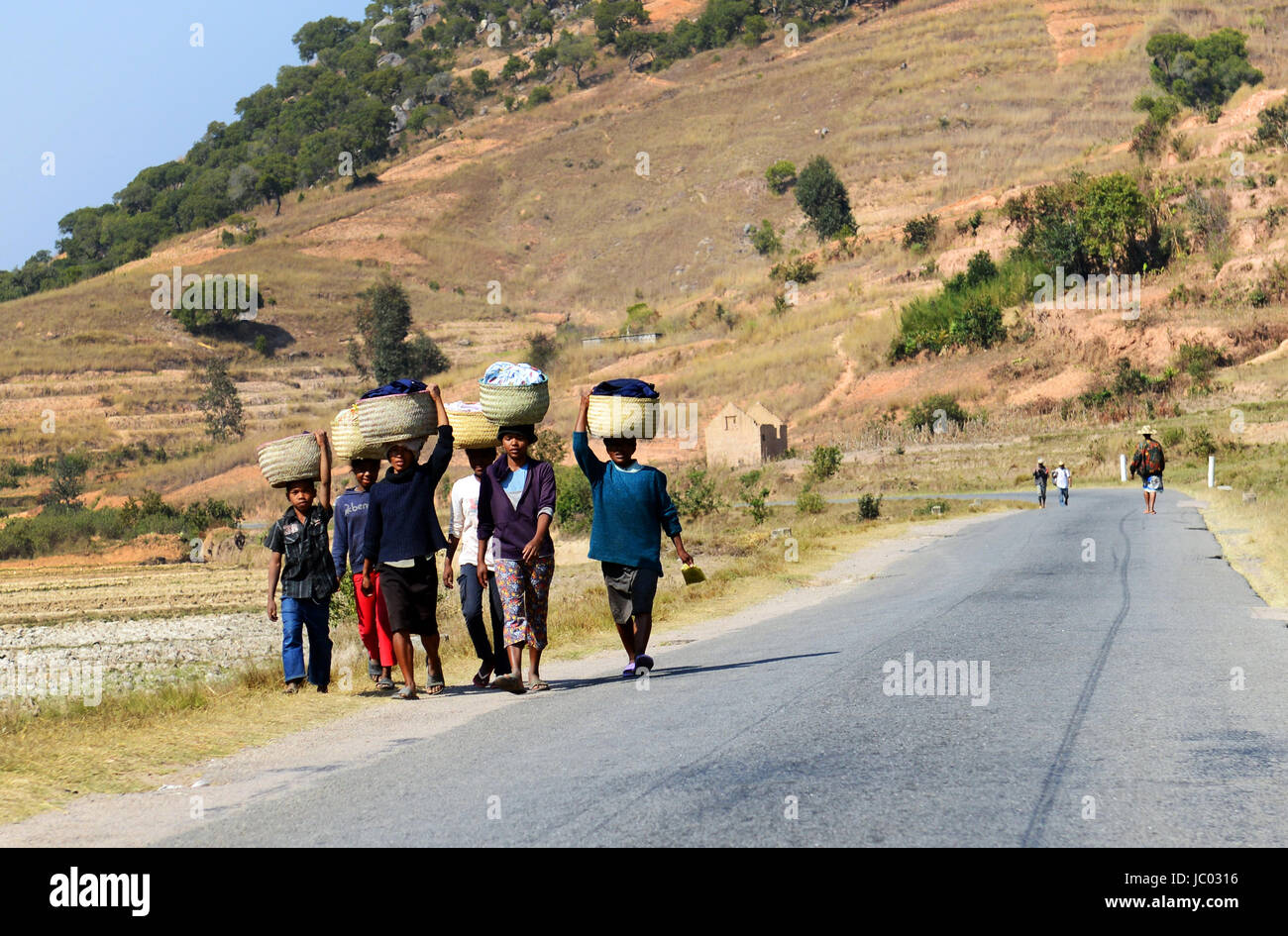 Malagasy women carrying big baskets full of organic matter. Stock Photo