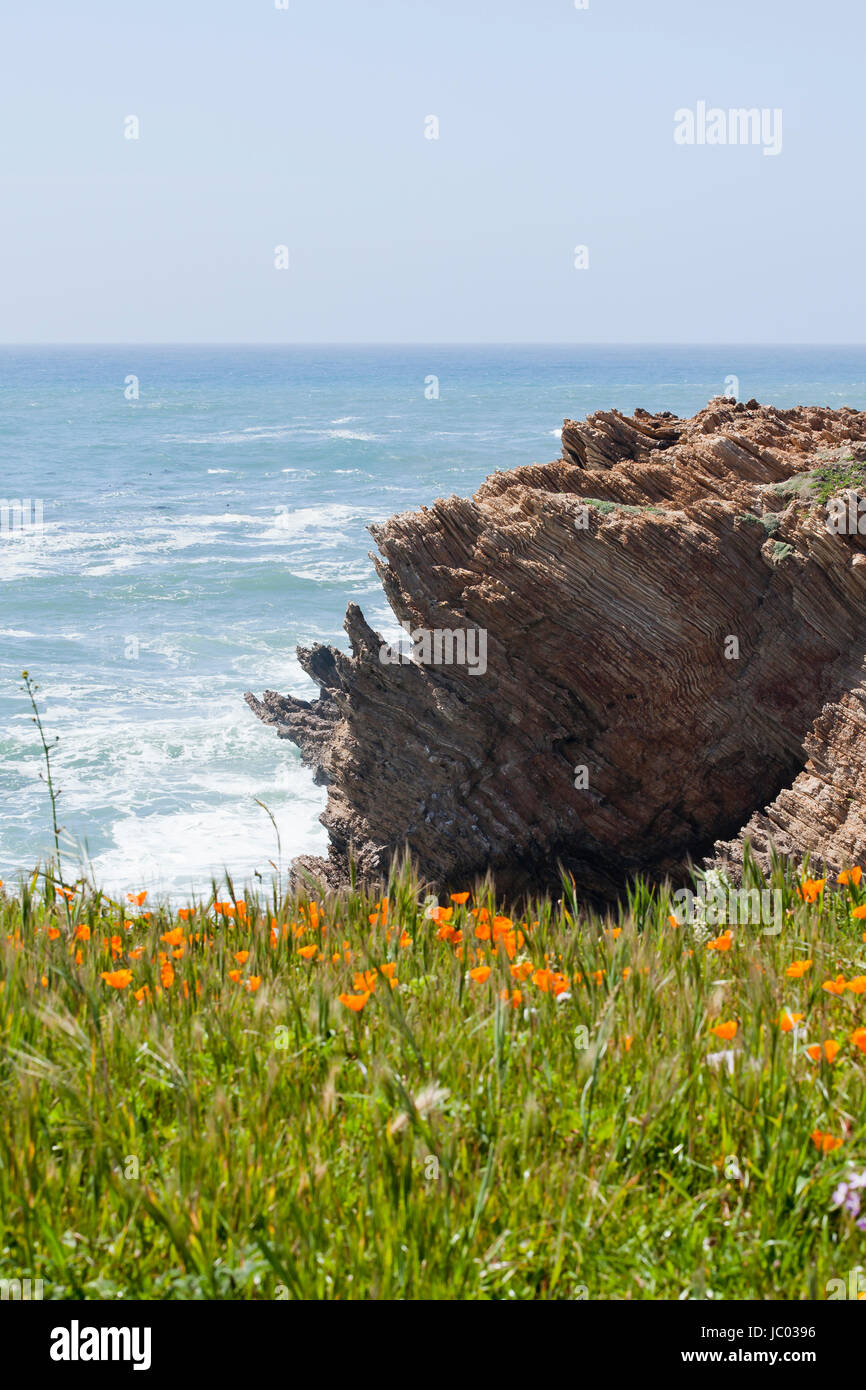 Point Buchon State Marine Reserve and Point Buchon Marine Conservation Area - San Luis Obispo County, California USA Stock Photo