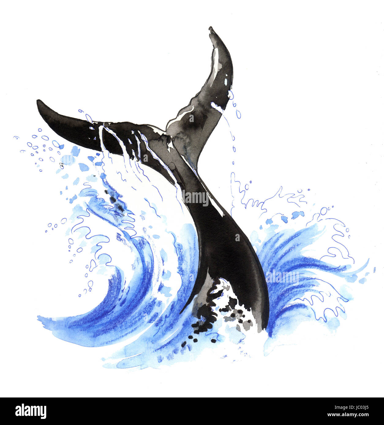 Whale tail illustration hi-res stock photography and images - Alamy