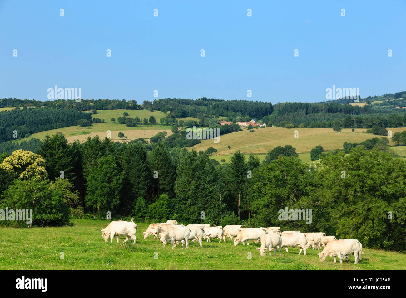 Arfeuilles hires stock photography and images Alamy