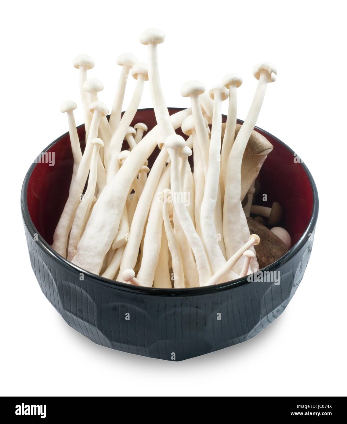 Vegetable, Raw White Shimeji Mushroom or Bunapi Mushroom in Japanese