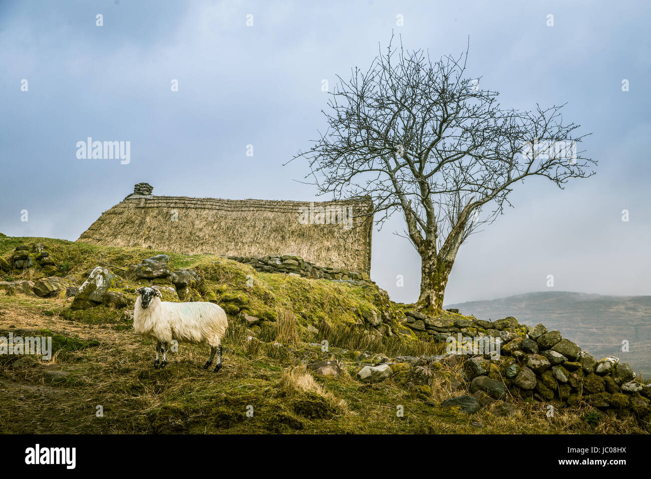 A beautiful irish mountain landscape in spring with sheep. Gleninchaquin park in Ireland. Stock Photo