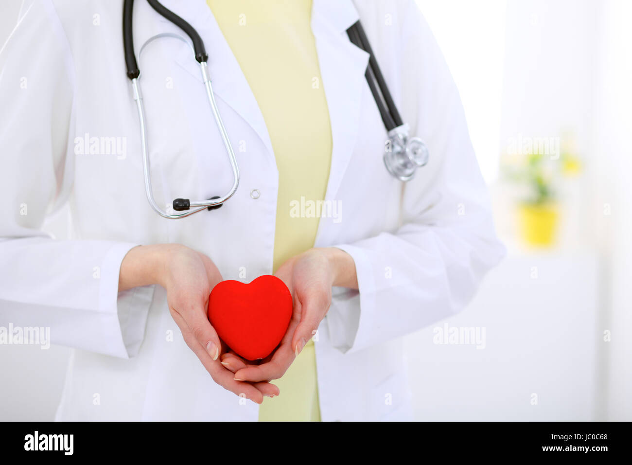 Female doctor with stethoscope holding heart Stock Photo - Alamy