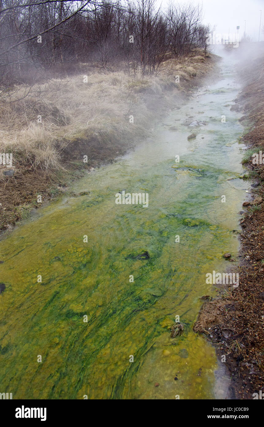Green hot water stream near Geysir in Iceland Stock Photo