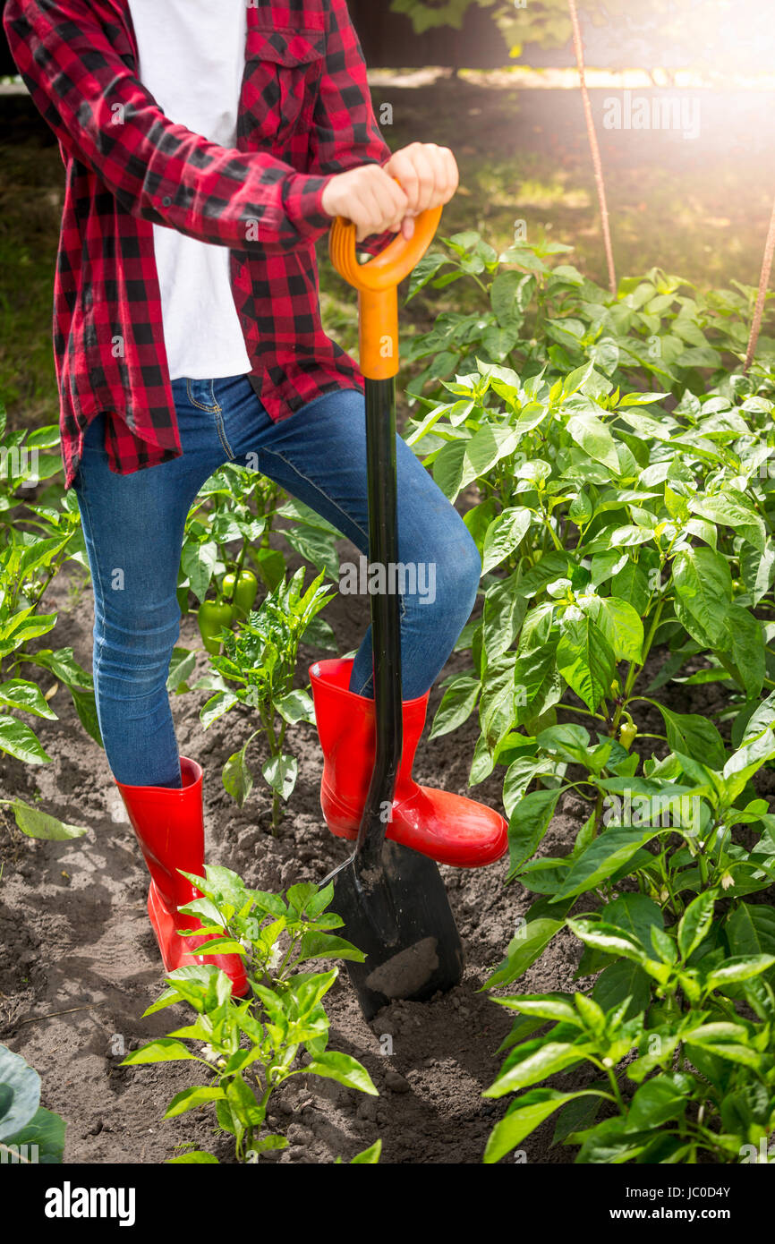 Young female farmer posing with shovel on garden bed at sunny day Stock ...
