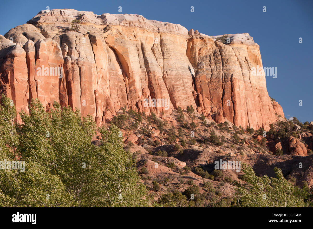 Kitchen Mesa in afternoon light, Carson National Forest, Rio Arriba County, New Mexico, USA Stock Photo