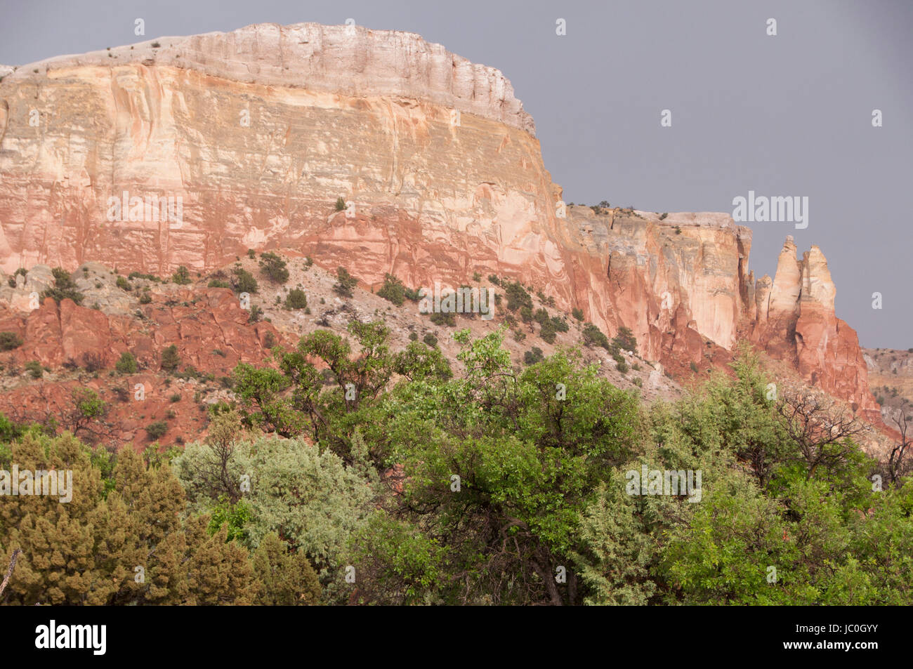 Kitchen Mesa in afternoon light, Carson National Forest, Rio Arriba County, New Mexico, USA Stock Photo