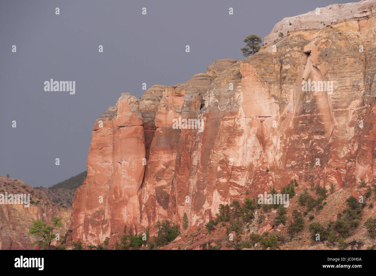 Kitchen Mesa in afternoon light, Carson National Forest, Rio Arriba County, New Mexico, USA Stock Photo