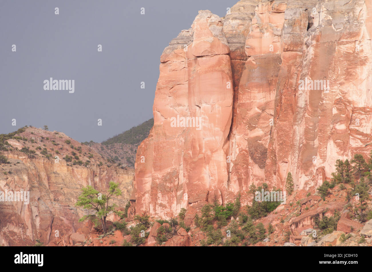 Kitchen Mesa in afternoon light, Carson National Forest, Rio Arriba County, New Mexico, USA Stock Photo