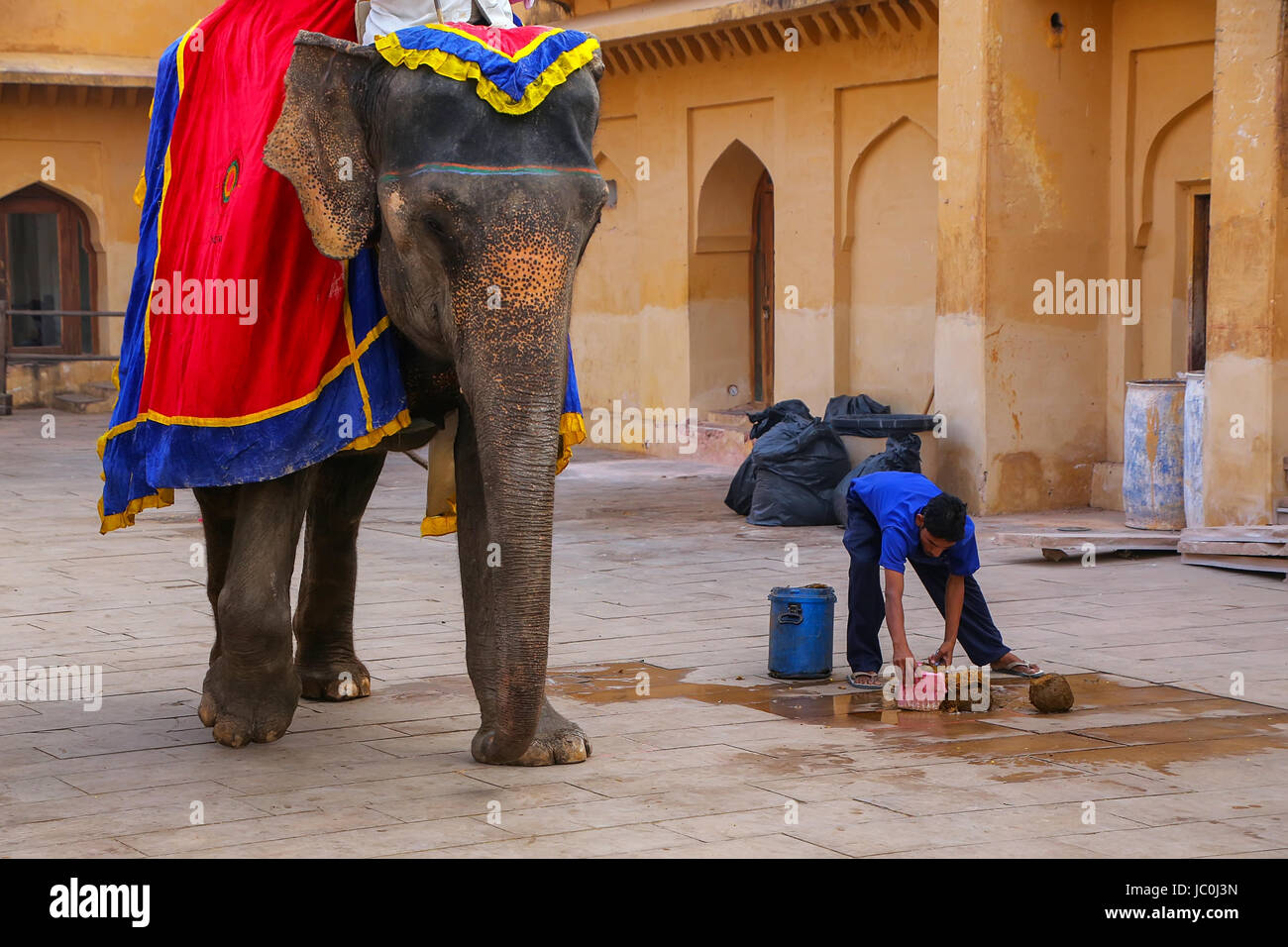 Worker picking up elephant poop in Jaleb Chowk (main courtyard) of