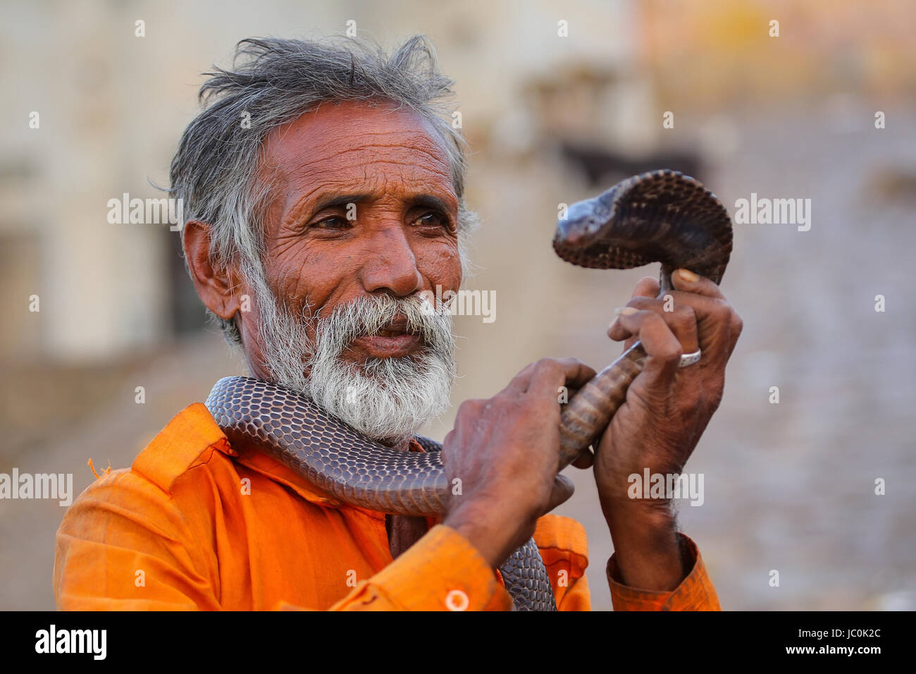 Local snake charmer holding Indian cobra in the street of Jaipur, India. Jaipur is the capital and largest city of the Indian state of Rajasthan. Stock Photo