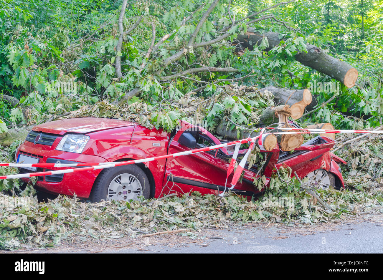 ESSEN KETTWIG, GERMANY - JUNI, 15.2014: Auto nach Sturmschaden Anfang Juni, nachdem ein großer Baum auf das Auto gefallen ist. Stock Photo