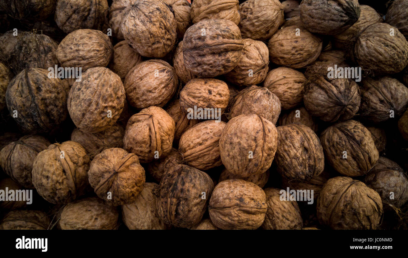 Squirrels nut pile hires stock photography and images Alamy