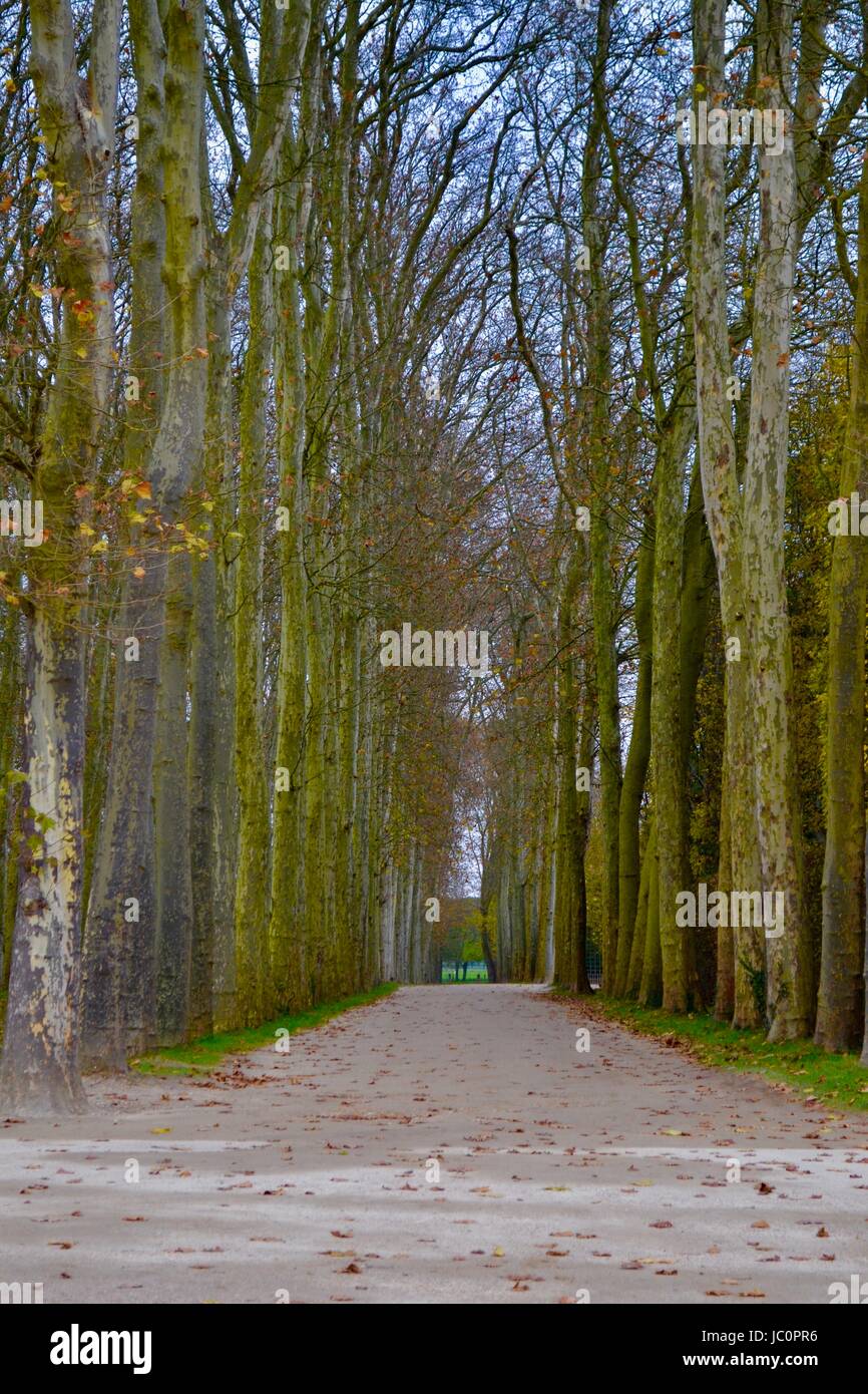 Versailles road hires stock photography and images Alamy